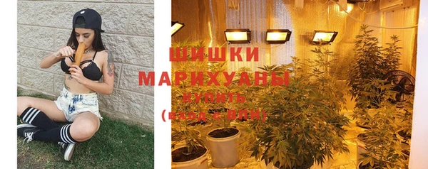 Альфа ПВП Бородино