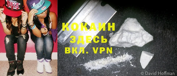 mdpv Инсар