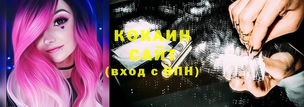 винт Карпинск