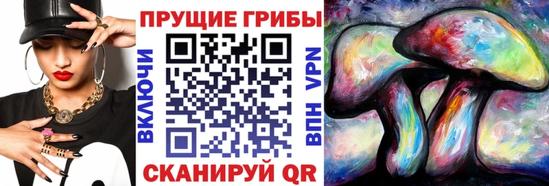 MEGA зеркало  Вышний Волочёк  Галлюциногенные грибы Magic Shrooms  где продают наркотики 