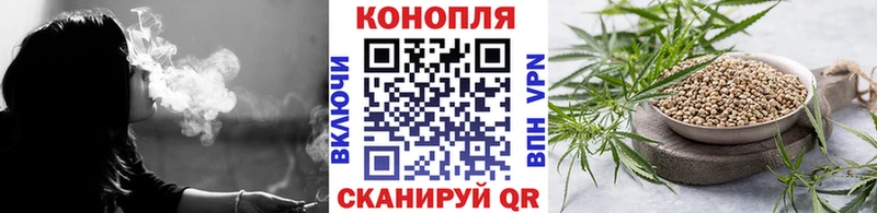 MEGA ТОР  Вышний Волочёк  Канабис сатива  как найти наркотики 